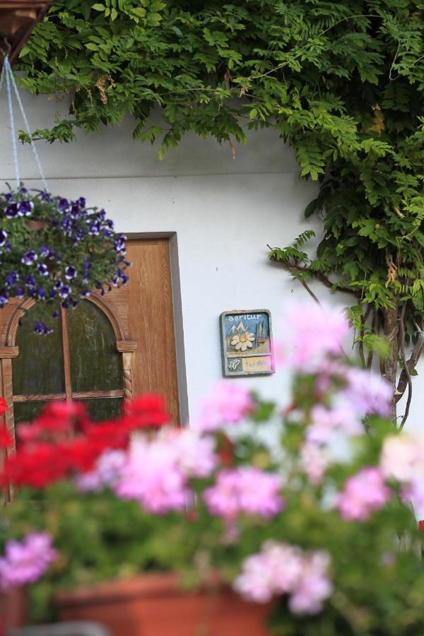 Agriturismo Maso Santa Libera Tesero Buitenkant foto